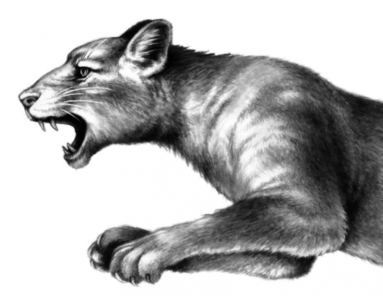 Иллюстрация к книге — Превращение Карага [b00000742.jpg]