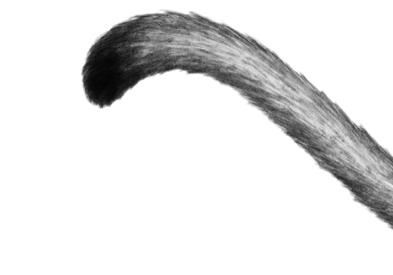 Иллюстрация к книге — Превращение Карага [b00000937.jpg]