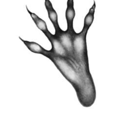 Иллюстрация к книге — Превращение Карага [b00001129.jpg]