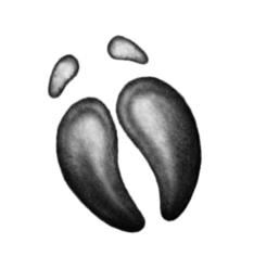 Иллюстрация к книге — Превращение Карага [b00001228.jpg]