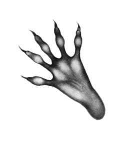 Иллюстрация к книге — Превращение Карага [b00001530.jpg]