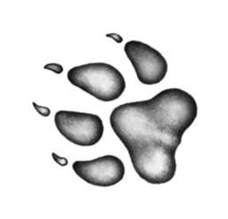 Иллюстрация к книге — Превращение Карага [b00001751.jpg]