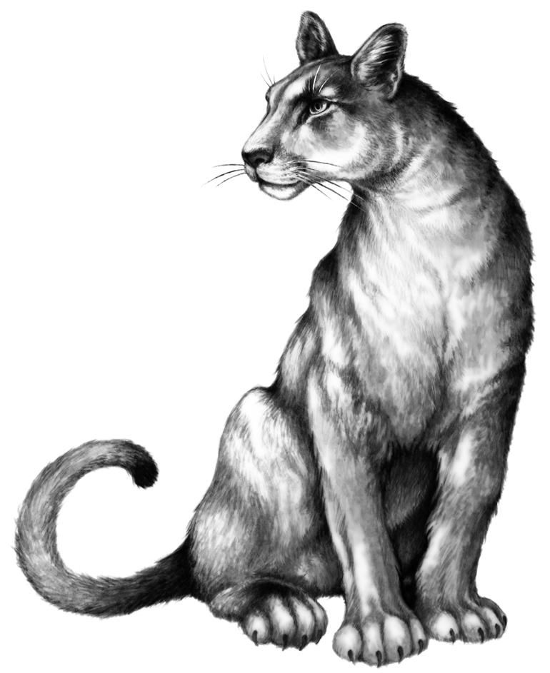 Иллюстрация к книге — Превращение Карага [b00001780.jpg]