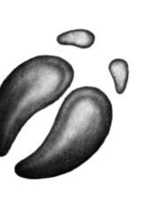 Иллюстрация к книге — Превращение Карага [b00001830.jpg]