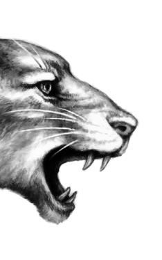 Иллюстрация к книге — Превращение Карага [b00001978.jpg]