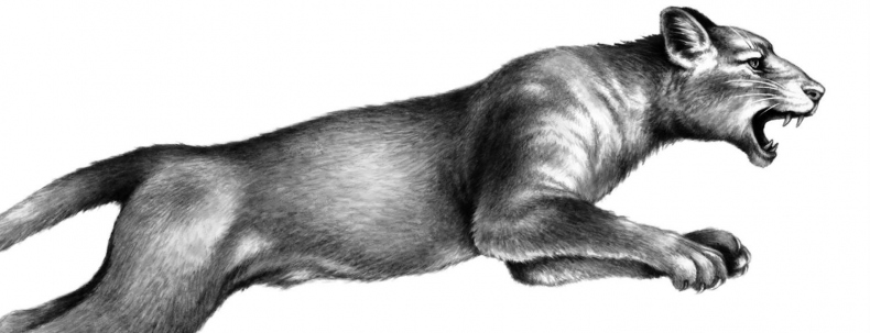 Иллюстрация к книге — Превращение Карага [b00002017.jpg]