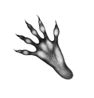 Иллюстрация к книге — Превращение Карага [b00002094.jpg]