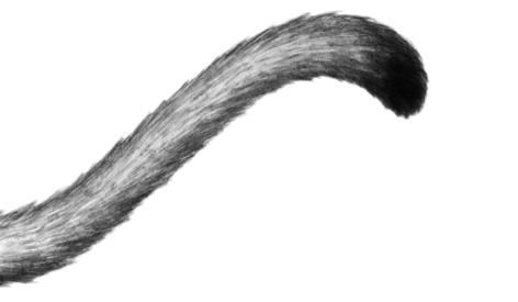 Иллюстрация к книге — Превращение Карага [b00002154.jpg]