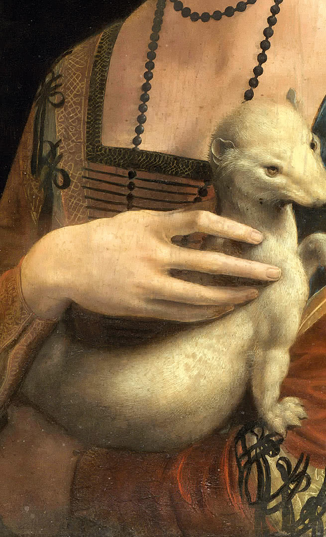 Иллюстрация к книге — Глаза «Джоконды». Секреты «Моны Лизы» [i_103.jpg]