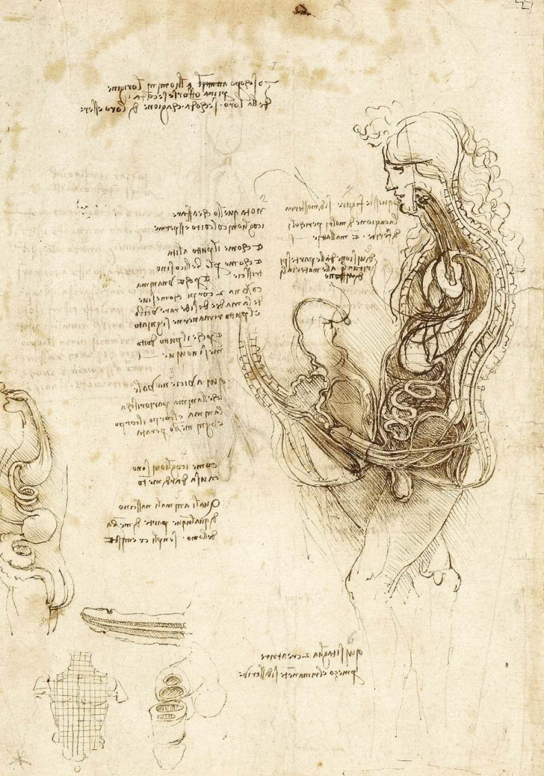 Иллюстрация к книге — Глаза «Джоконды». Секреты «Моны Лизы» [i_110.jpg]