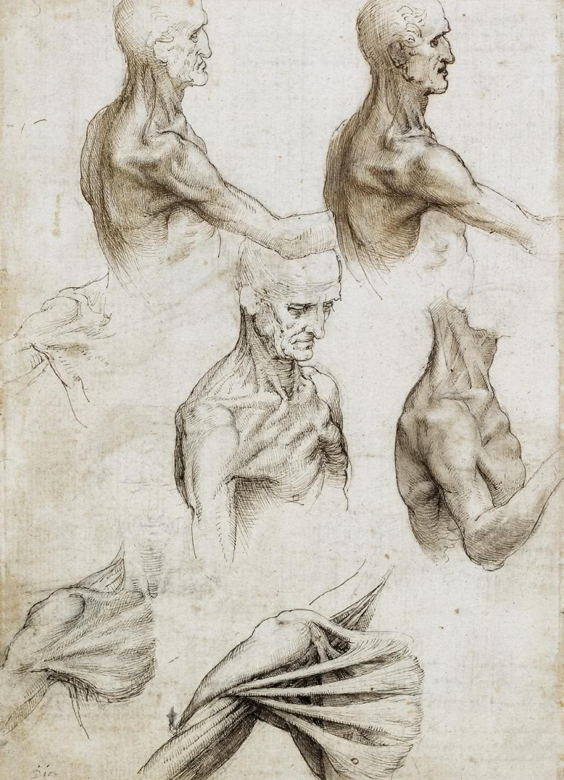 Иллюстрация к книге — Глаза «Джоконды». Секреты «Моны Лизы» [i_111.jpg]