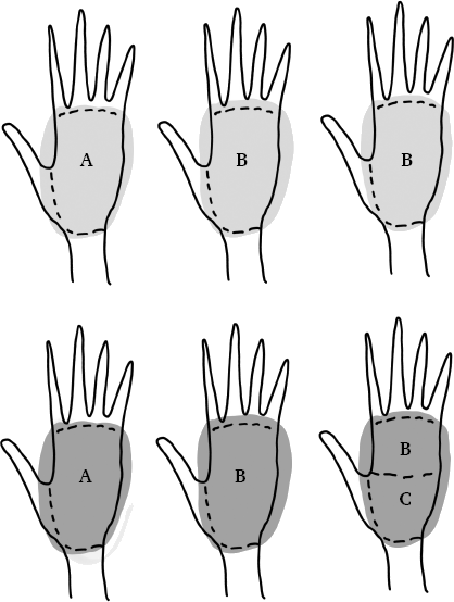 Иллюстрация к книге — X-фактор здорового веса. Как добиться естественной стройности, позаботившись о кишечнике [i_018.jpg]