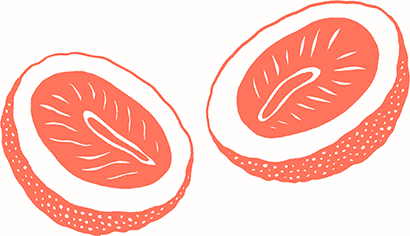 Иллюстрация к книге — Тезаурус вкусов 2. Lateral Cooking [i_021.jpg]