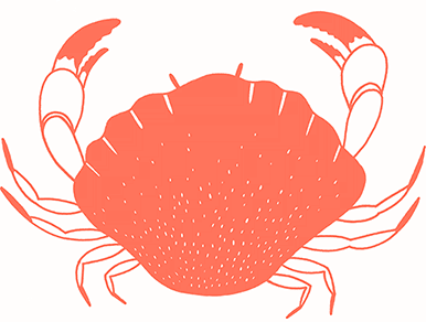 Иллюстрация к книге — Тезаурус вкусов 2. Lateral Cooking [i_047.jpg]