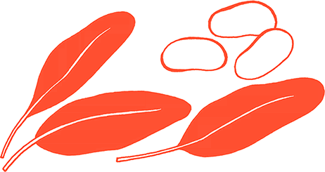 Иллюстрация к книге — Тезаурус вкусов 2. Lateral Cooking [i_051.jpg]