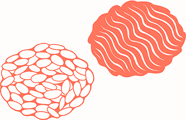 Иллюстрация к книге — Тезаурус вкусов 2. Lateral Cooking [i_084.jpg]