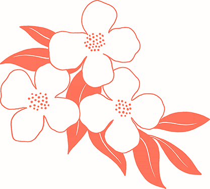 Иллюстрация к книге — Тезаурус вкусов 2. Lateral Cooking [i_094.jpg]