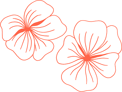 Иллюстрация к книге — Тезаурус вкусов 2. Lateral Cooking [i_108.jpg]