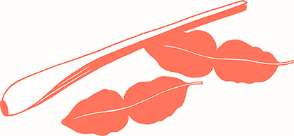 Иллюстрация к книге — Тезаурус вкусов 2. Lateral Cooking [i_139.jpg]