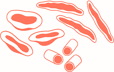 Иллюстрация к книге — Тезаурус вкусов 2. Lateral Cooking [i_143.jpg]