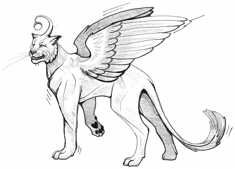 Иллюстрация к книге — Яжмаг [i_027.jpg]