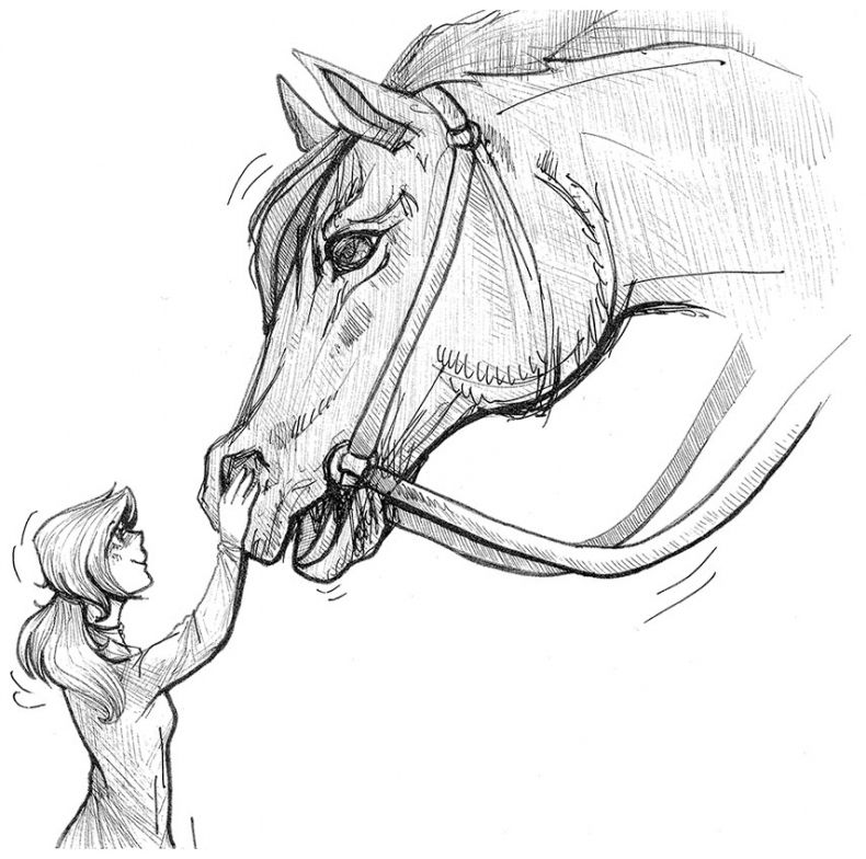 Иллюстрация к книге — Яжмаг [i_028.jpg]