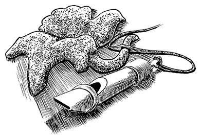 Иллюстрация к книге — Александровскiе кадеты. Том 2 [i_023.jpg]