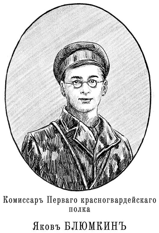 Иллюстрация к книге — Александровскiе кадеты. Том 2 [i_029.jpg]