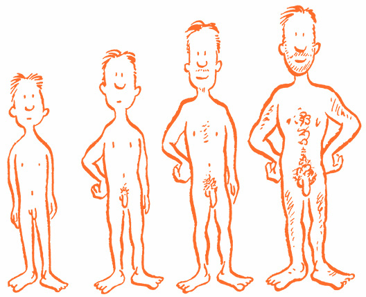 Иллюстрация к книге — Парням о важном. Все, что ты хотел знать о взрослении, изменениях тела, отношениях и многом другом [i_011.jpg]