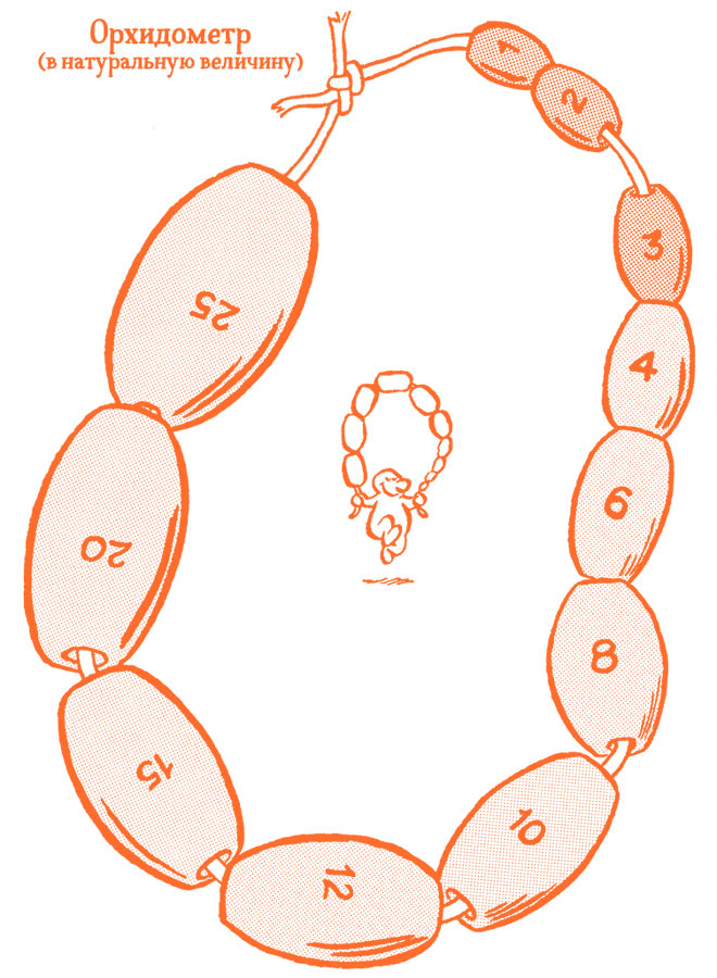 Иллюстрация к книге — Парням о важном. Все, что ты хотел знать о взрослении, изменениях тела, отношениях и многом другом [i_018.jpg]