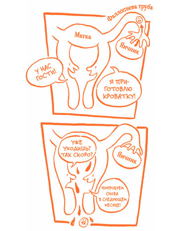 Иллюстрация к книге — Парням о важном. Все, что ты хотел знать о взрослении, изменениях тела, отношениях и многом другом [i_034.jpg]