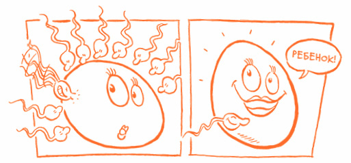 Иллюстрация к книге — Парням о важном. Все, что ты хотел знать о взрослении, изменениях тела, отношениях и многом другом [i_042.jpg]