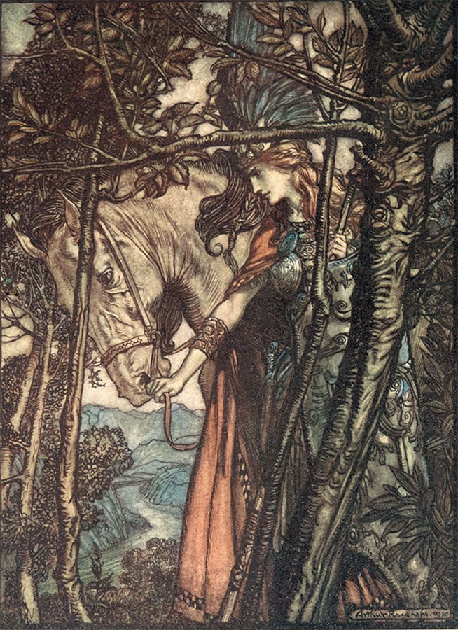 Иллюстрация к книге — Валькирии. Женщины в мире викингов [i_004.jpg]