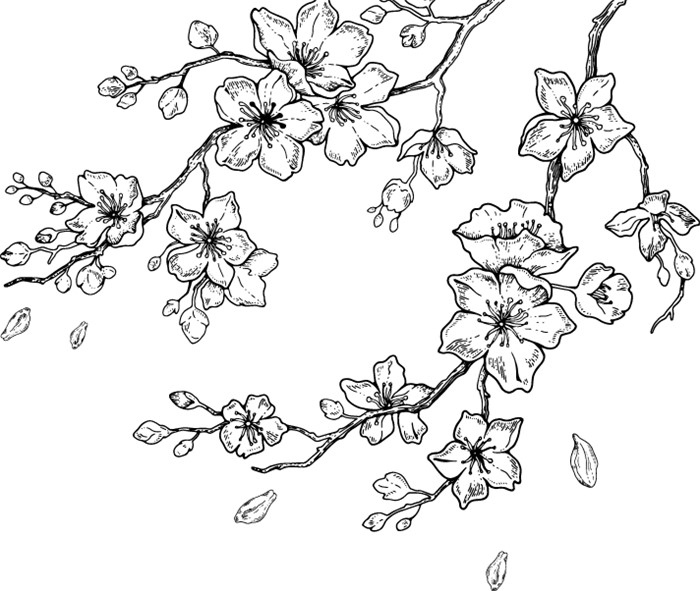 Иллюстрация к книге — Искусство быть желанной. Секреты гейши [i_015.jpg]