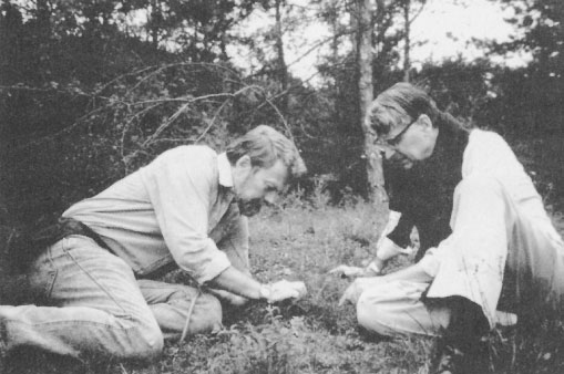 Иллюстрация к книге — Путешествие к муравьям [i_008.jpg]