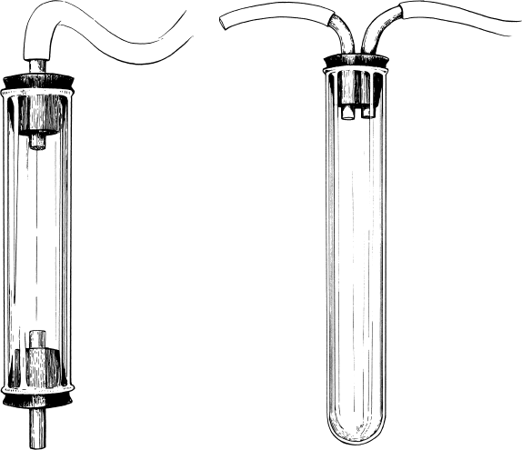 Иллюстрация к книге — Путешествие к муравьям [i_060.jpg]