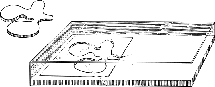 Иллюстрация к книге — Путешествие к муравьям [i_061.jpg]