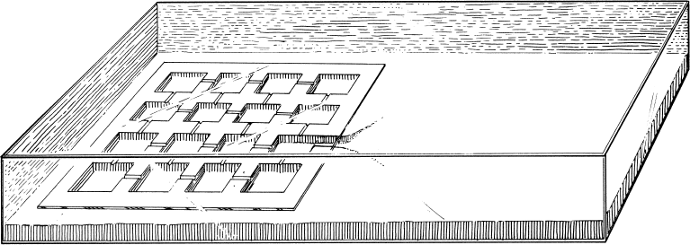 Иллюстрация к книге — Путешествие к муравьям [i_062.jpg]