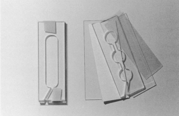 Иллюстрация к книге — Путешествие к муравьям [i_064.jpg]