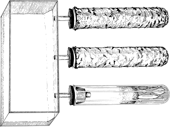 Иллюстрация к книге — Путешествие к муравьям [i_065.jpg]