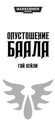 Иллюстрация к книге — Опустошение Баала [bezymjannyjjzh.jpg]