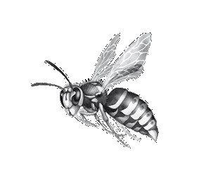 Иллюстрация к книге — Тайна Холли [i_001.jpg]