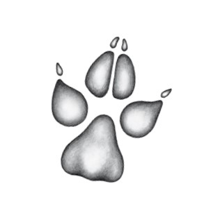 Иллюстрация к книге — Тайна Холли [i_002.jpg]