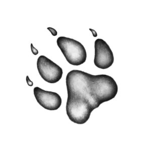 Иллюстрация к книге — Тайна Холли [i_003.jpg]