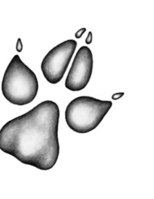 Иллюстрация к книге — Тайна Холли [i_006.jpg]