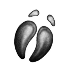 Иллюстрация к книге — Тайна Холли [i_012.jpg]