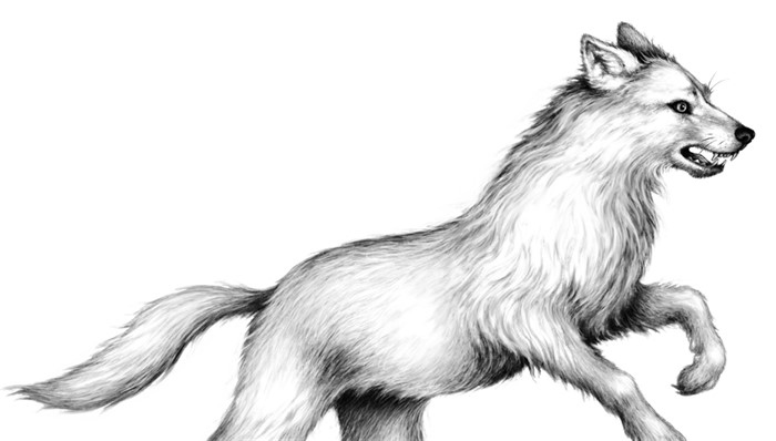 Иллюстрация к книге — Тайна Холли [i_013.jpg]