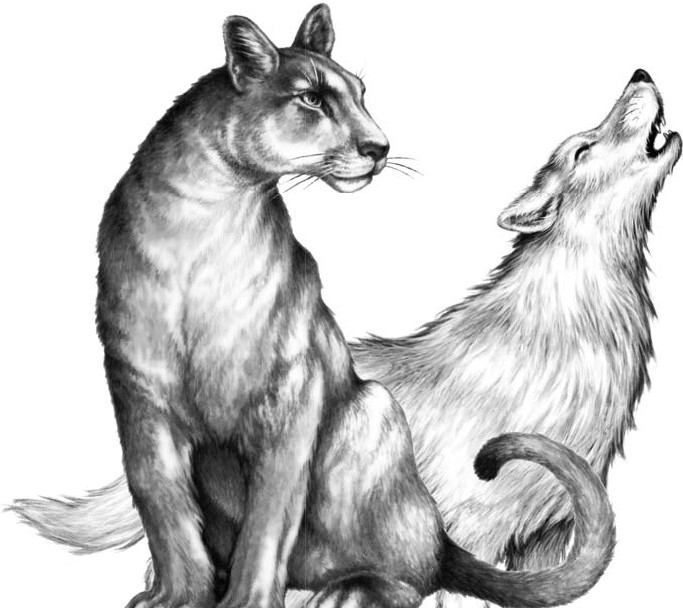 Иллюстрация к книге — Тайна Холли [i_016.jpg]