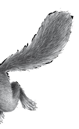 Иллюстрация к книге — Тайна Холли [i_017.jpg]