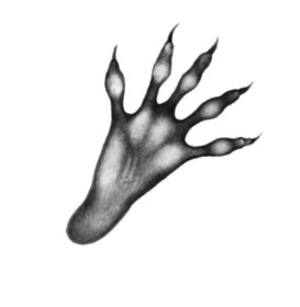 Иллюстрация к книге — Тайна Холли [i_018.jpg]